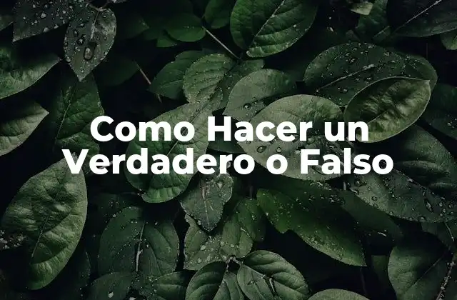Como Hacer un Verdadero o Falso