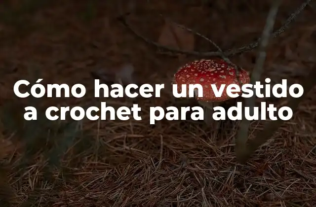 Cómo Hacer un Vestido a Crochet para Adulto