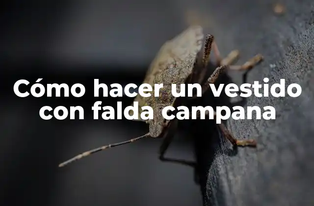 Cómo Hacer un Vestido con Falda Campana