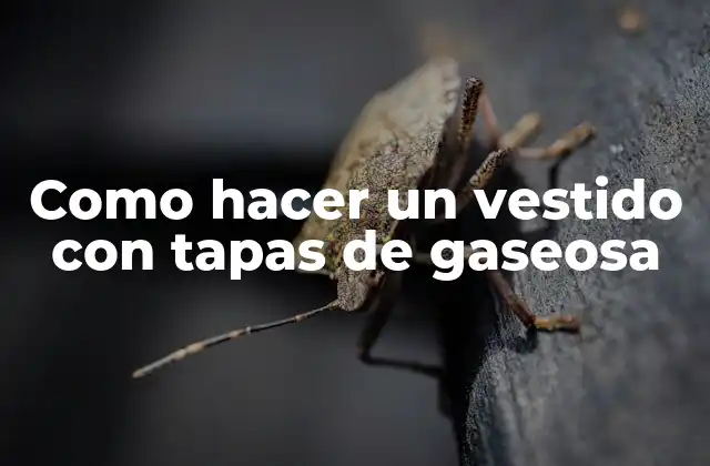 Tapas de gaseosa, el material innovador para crear un vestido