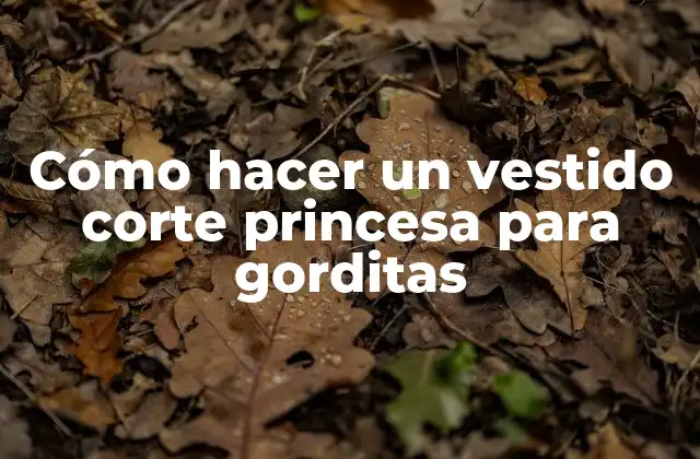 Cómo Hacer un Vestido Corte Princesa para Gorditas