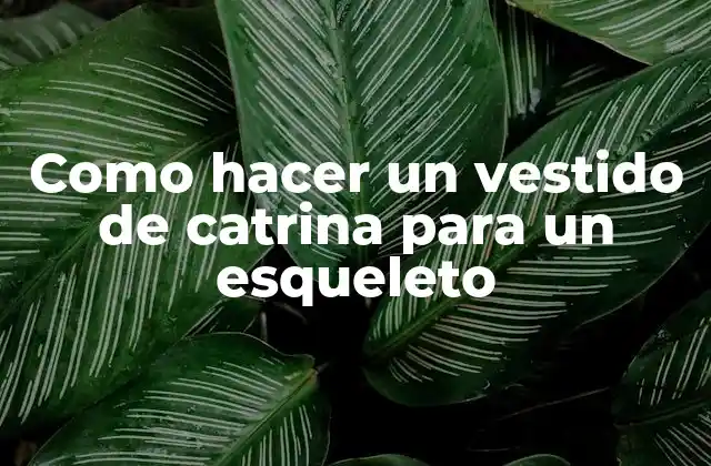 Como Hacer un Vestido de Catrina para un Esqueleto