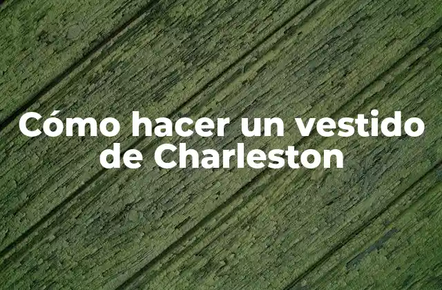 ¿Qué es un vestido de Charleston?
