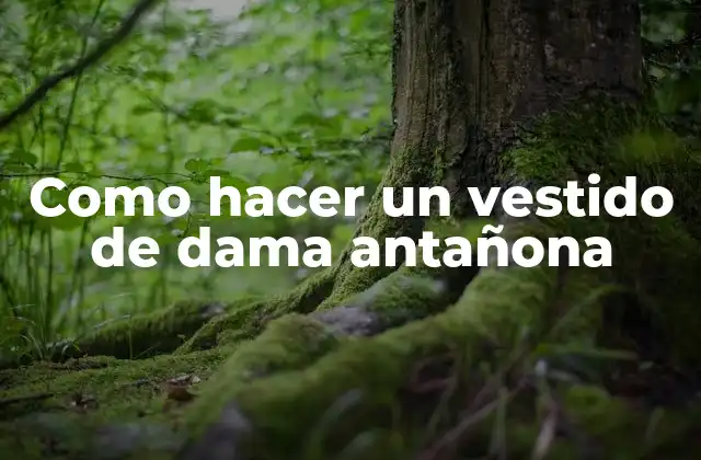 Como Hacer un Vestido de Dama Antañona