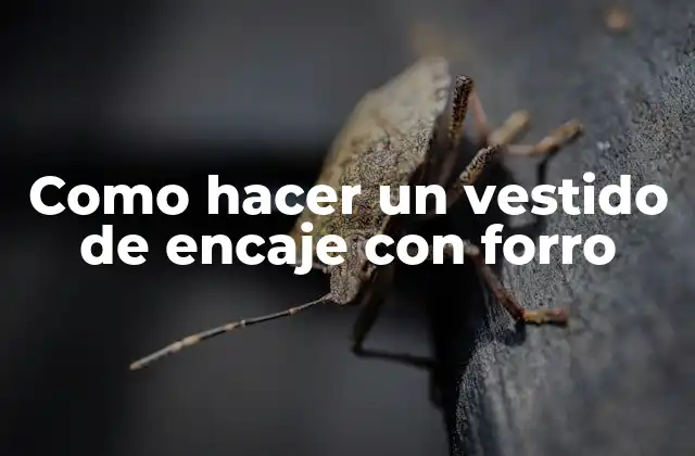 Como Hacer un Vestido de Encaje con Forro