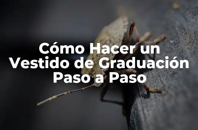 Cómo Hacer un Vestido de Graduación Paso a Paso