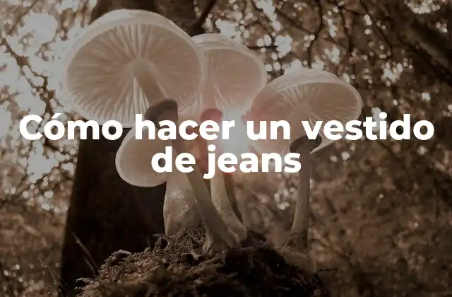 Cómo Hacer un Vestido de Jeans