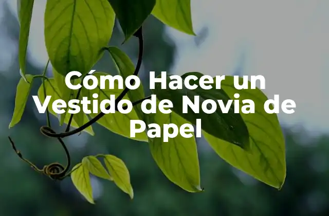 Cómo Hacer un Vestido de Novia de Papel