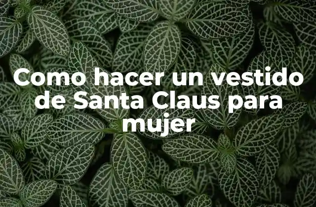 Como Hacer un Vestido de Santa Claus para Mujer
