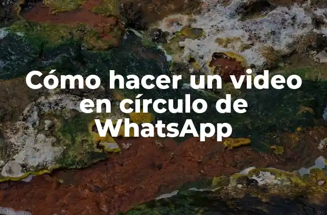 Cómo Hacer un Video en Círculo de Whatsapp