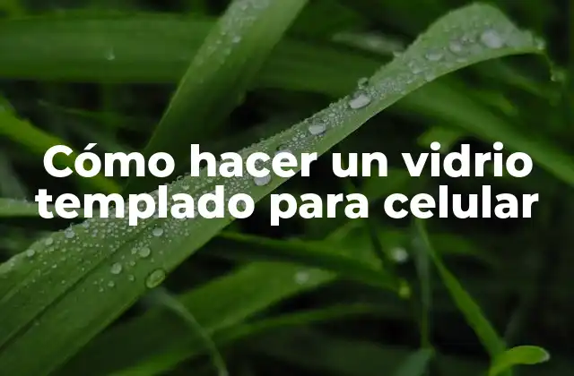 Cómo Hacer un Vidrio Templado para Celular