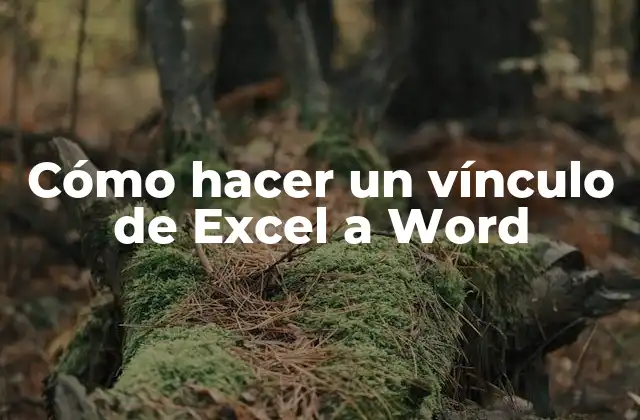 Cómo hacer un vínculo de Excel a Word