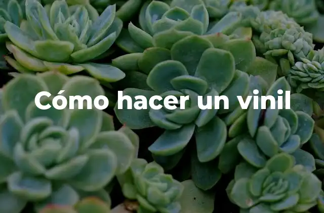 Cómo Hacer un Vinil
