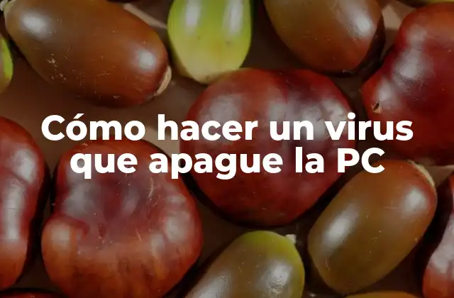 Cómo Hacer un Virus que Apague la Pc
