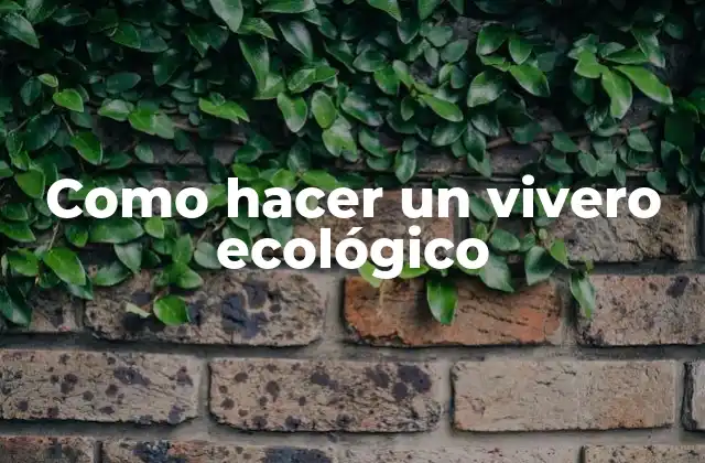 Como Hacer un Vivero Ecológico