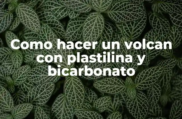 Como Hacer un Volcan con Plastilina y Bicarbonato