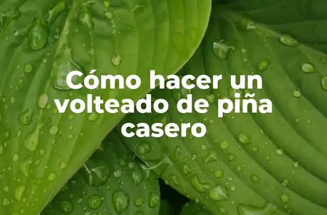 Cómo Hacer un Volteado de Piña Casero