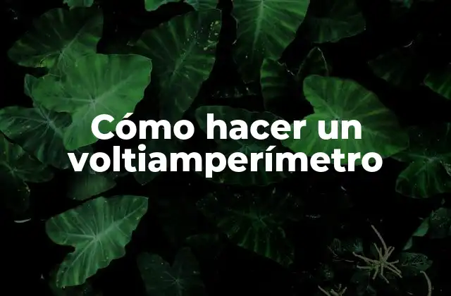 Cómo Hacer un Voltiamperímetro