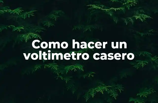 Como Hacer un Voltimetro Casero