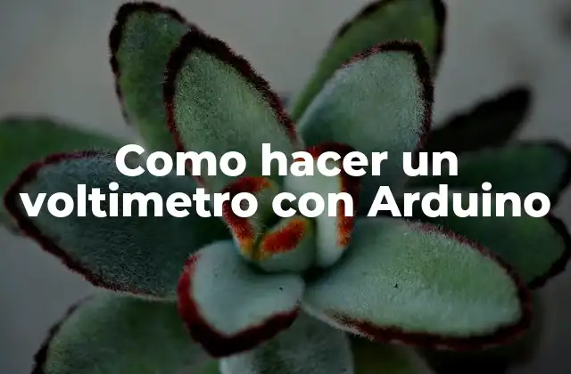 Como Hacer un Voltimetro con Arduino