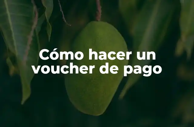 Cómo Hacer un Voucher de Pago 2 Cómo hacer un voucher de pago