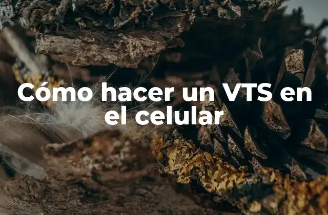 Cómo Hacer un Vts en el Celular