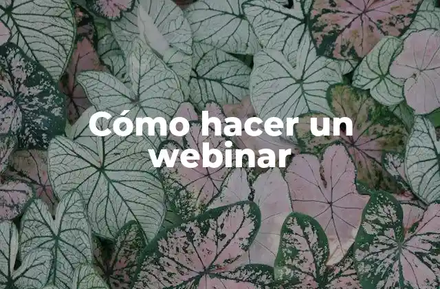 Cómo Hacer un Webinar