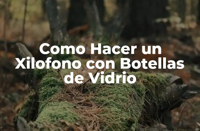 Como Hacer un Xilofono con Botellas de Vidrio