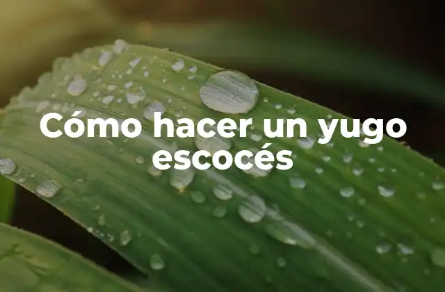 Cómo Hacer un Yugo Escocés