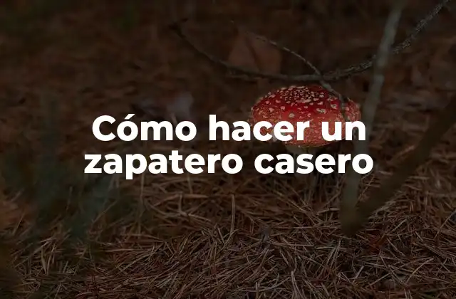Cómo Hacer un Zapatero Casero