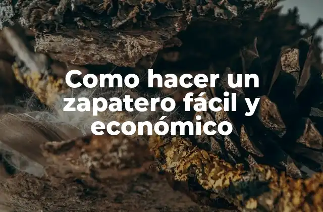 Como Hacer un Zapatero Fácil y Económico