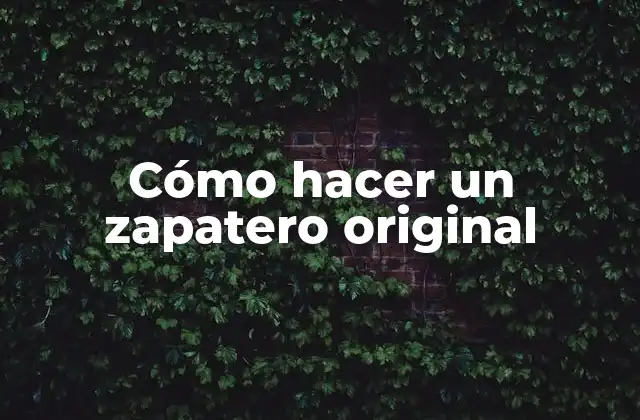 Cómo Hacer un Zapatero Original