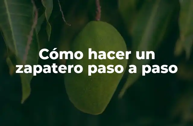 Cómo Hacer un Zapatero Paso a Paso 2 Cómo hacer un zapatero paso a paso
