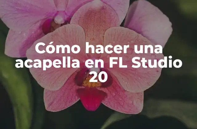 Cómo Hacer una Acapella en Fl Studio 20