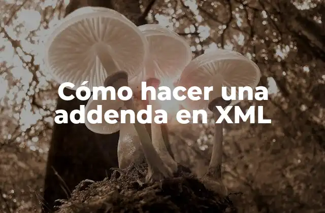Cómo Hacer una Addenda en Xml