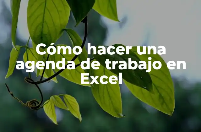 Cómo Hacer una Agenda de Trabajo en Excel