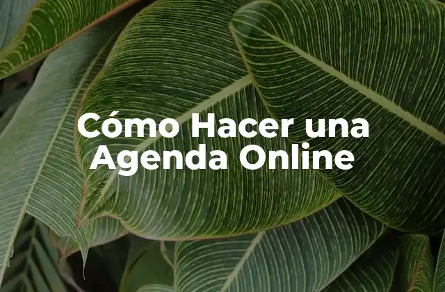 Cómo Hacer una Agenda Online
