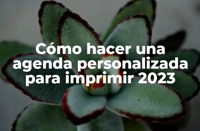 Cómo Hacer una Agenda Personalizada para Imprimir 2023