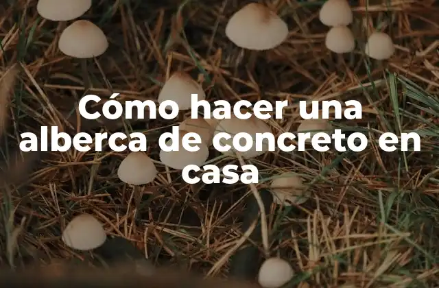 Cómo Hacer una Alberca de Concreto en Casa