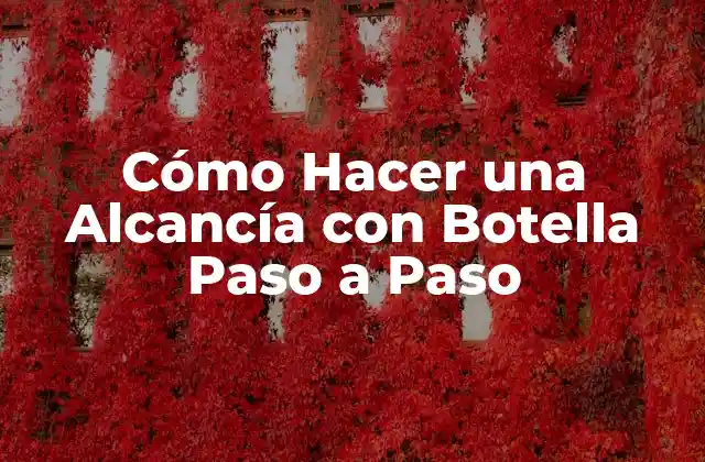 Cómo Hacer una Alcancía con Botella Paso a Paso
