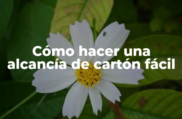 Cómo Hacer una Alcancía de Cartón Fácil