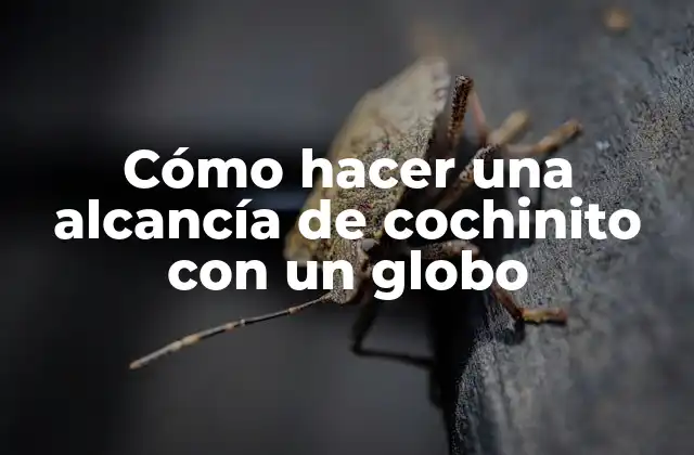 Cómo Hacer una Alcancía de Cochinito con un Globo