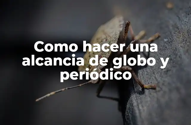 Como Hacer una Alcancia de Globo y Periódico