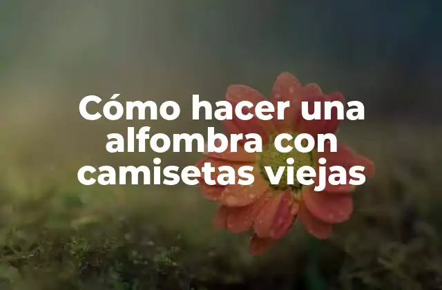 Cómo Hacer una Alfombra con Camisetas Viejas