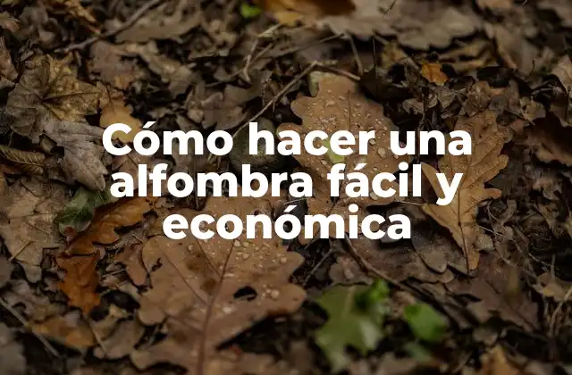 Cómo Hacer una Alfombra Fácil y Económica