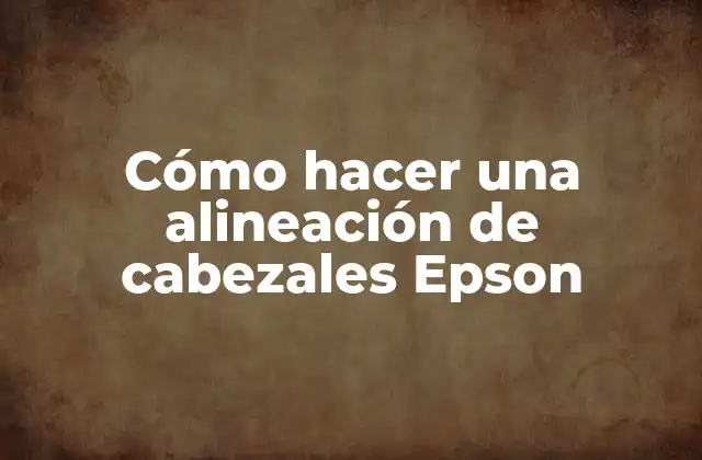 Cómo Hacer una Alineación de Cabezales Epson