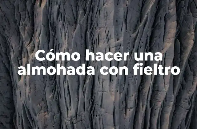 Cómo Hacer una Almohada con Fieltro