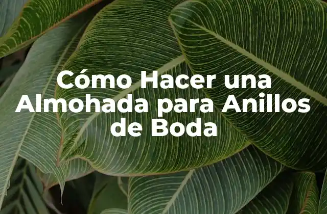 Cómo Hacer una Almohada para Anillos de Boda