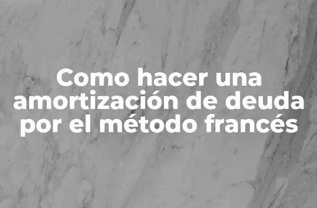 Como Hacer una Amortización de Deuda por el Método Francés