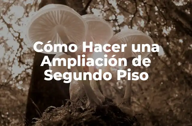 Cómo Hacer una Ampliación de Segundo Piso